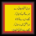 Mere Ishq Ko 01 * 01.10.2012 * 277 x 896 * (53KB)
